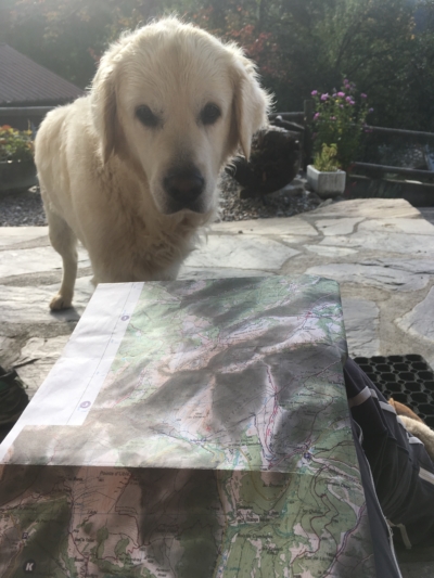 Olle leest kaart hond leest kaart