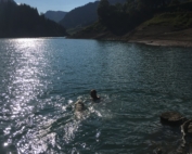 Swimming in mountainlake