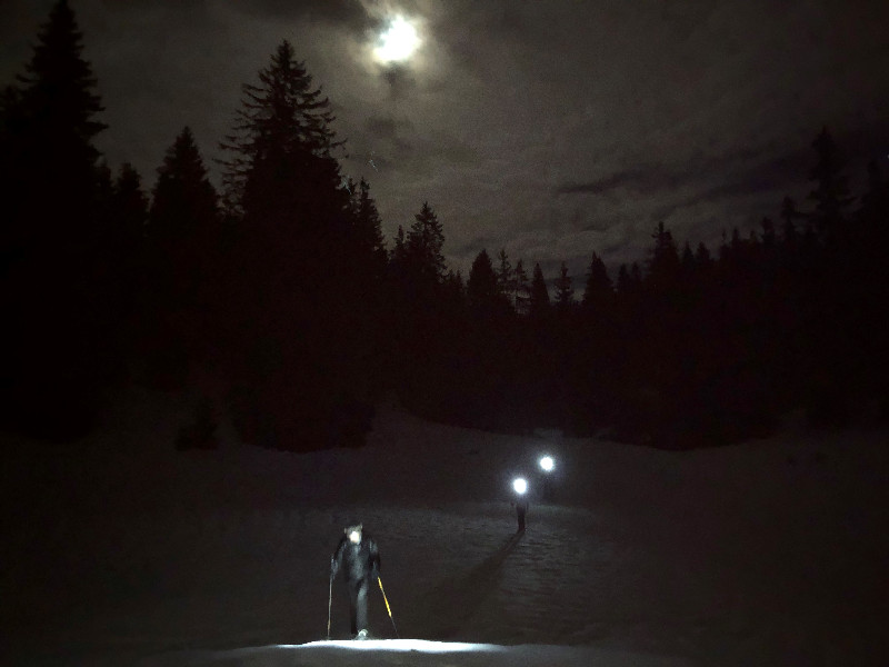 Moonlight snowshoe tour