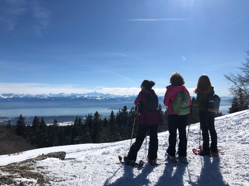 Snowshoeing