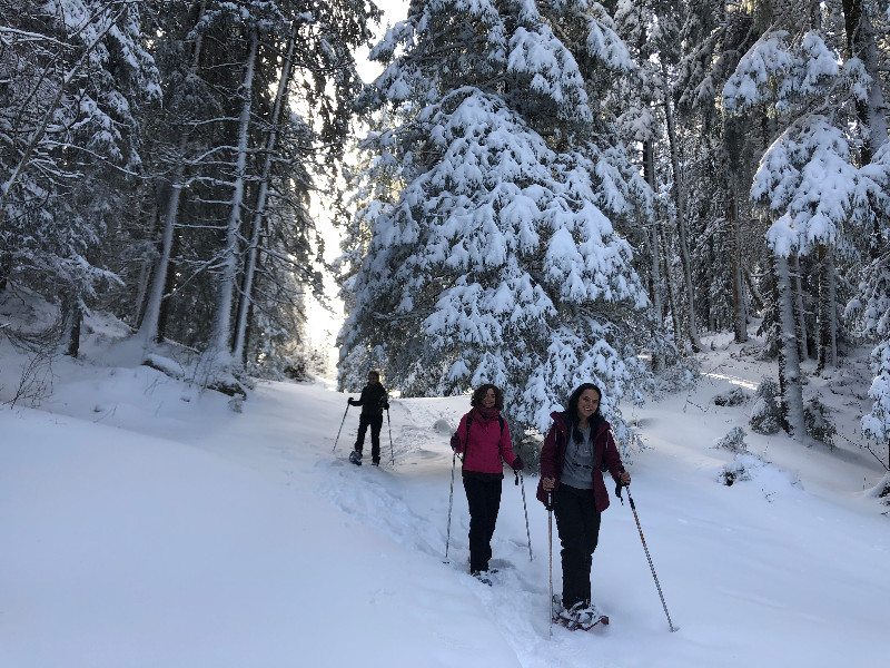 bergtocht Zwitserse Alpen