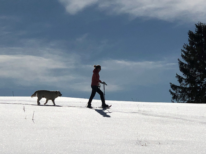 Snowshoeing