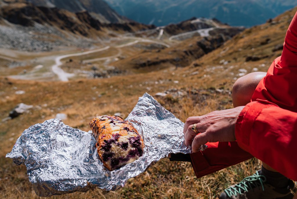 Trekking in the Swiss Alps