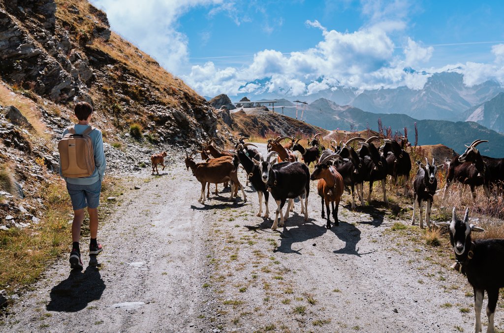 bergtocht Zwitserse Alpen