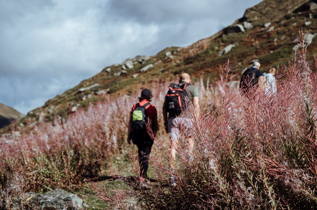 Hiking holidays in the alps