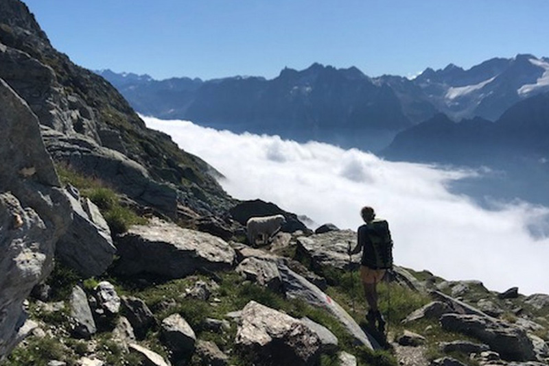 wildcamping in the Swiss Alps