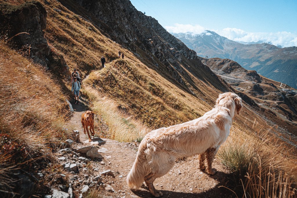 wildcamping in the Swiss Alps