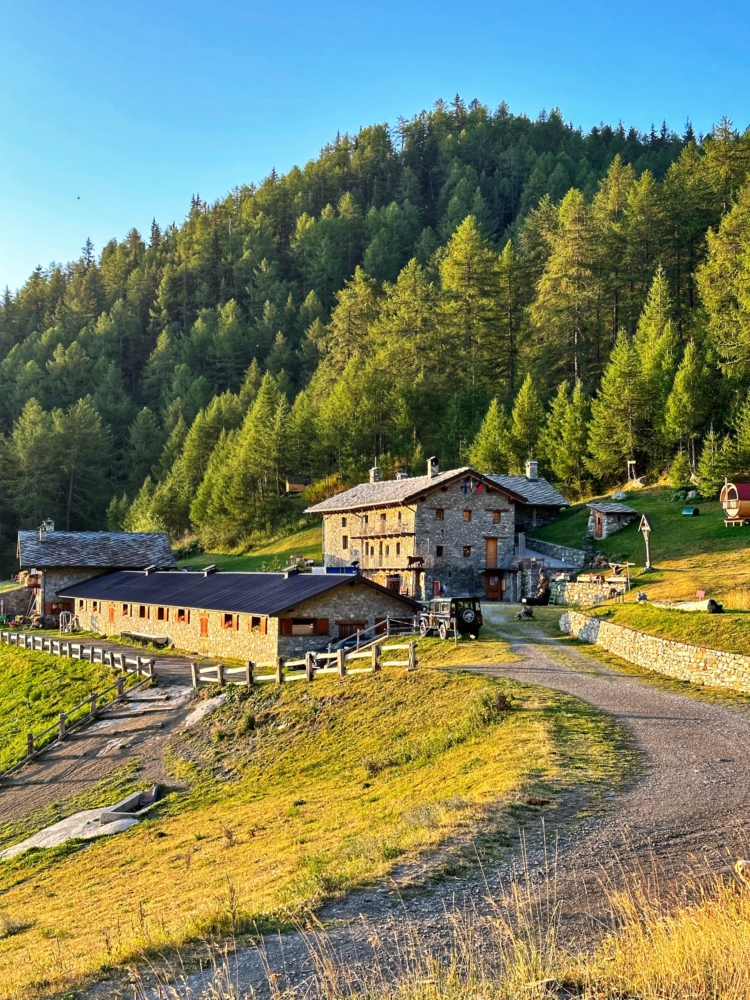 bergtocht Zwitserse Alpen