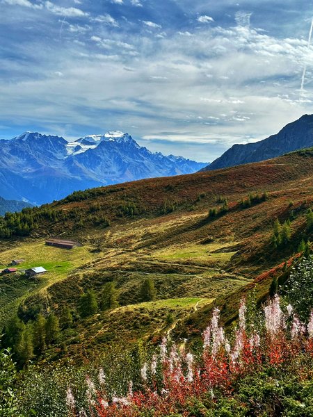 bergtocht Zwitserse Alpen