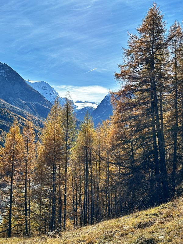 3 Autumn Escape