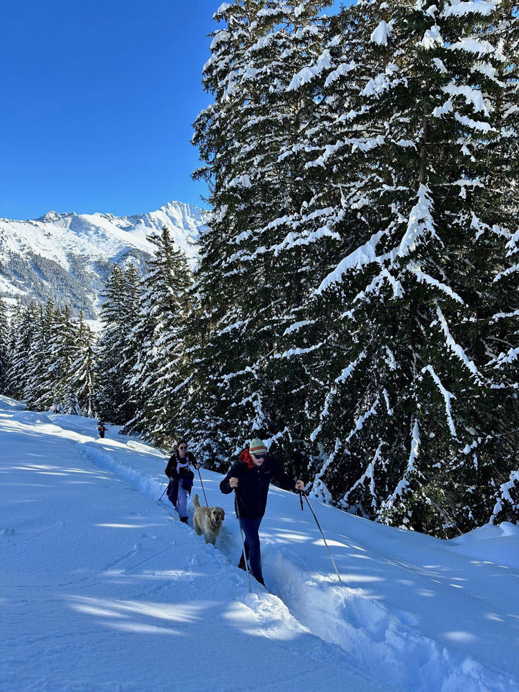 BO-5 bergtocht Zwitserse Alpen