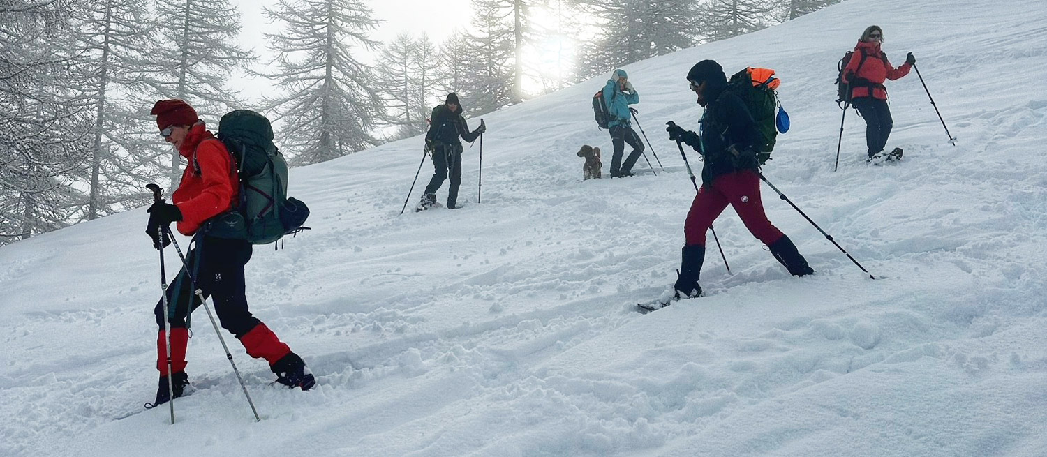 Winter–1