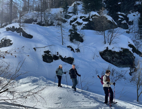 Understanding Avalanche Risk in Winter