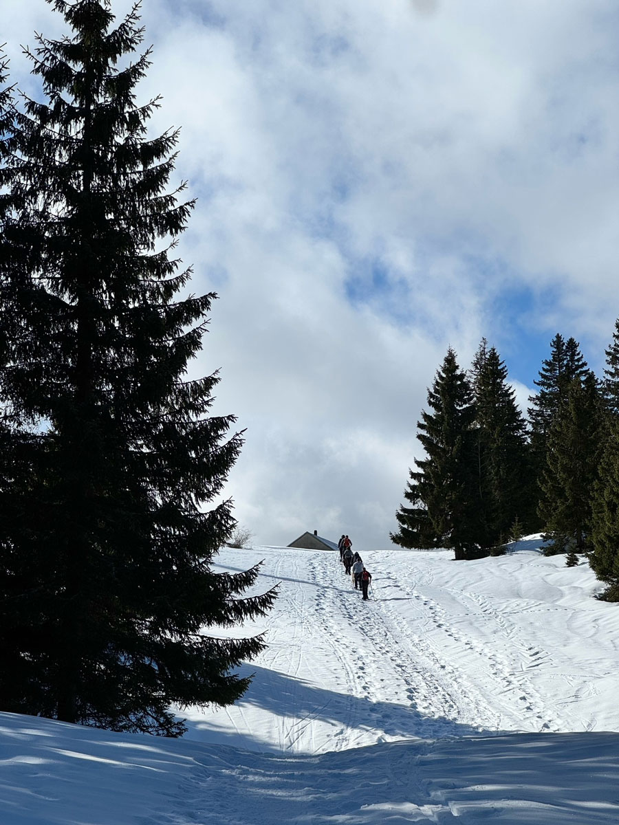 bergtocht Zwitserse Alpen