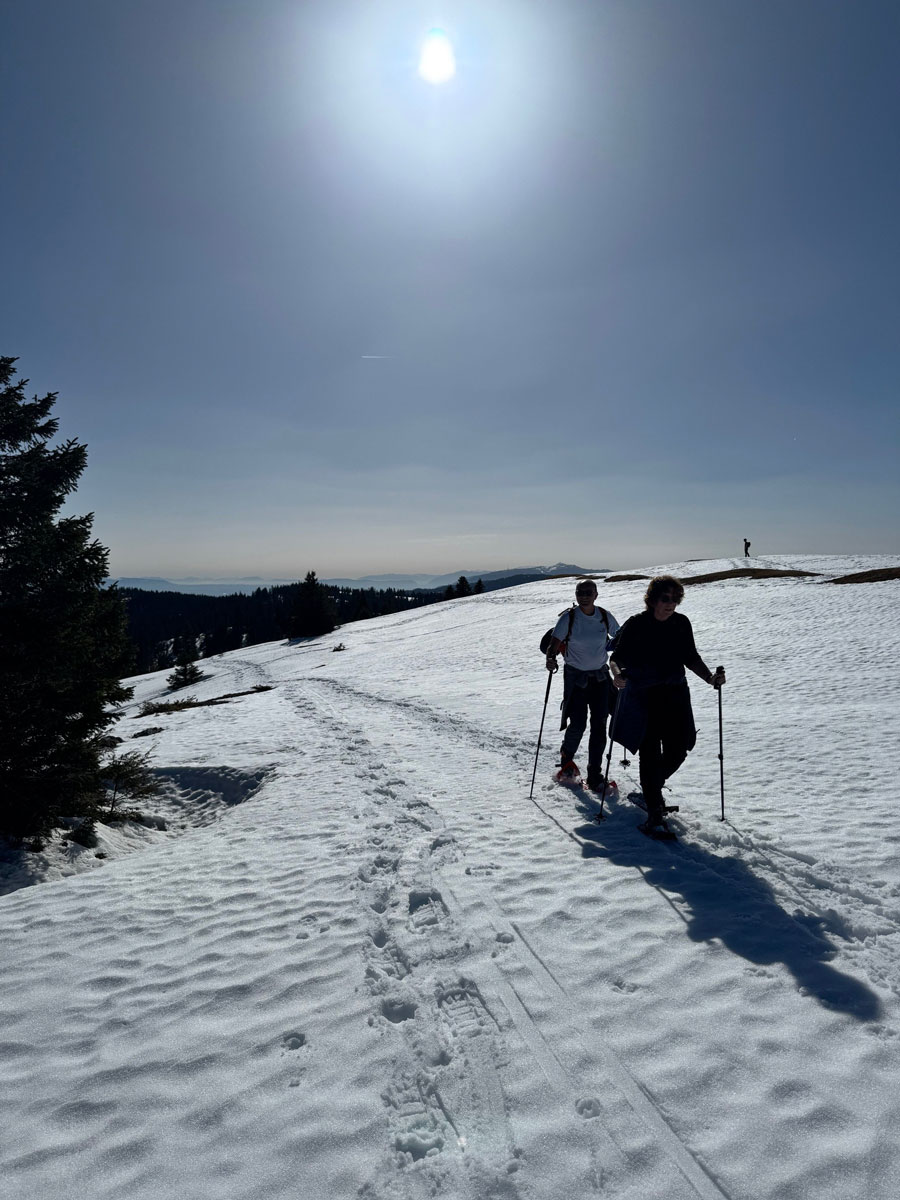 bergtocht Zwitserse Alpen