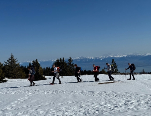 Jura vs Bernese Oberland vs Italian Alps: Which Snowshoe Trip Is Right for You?